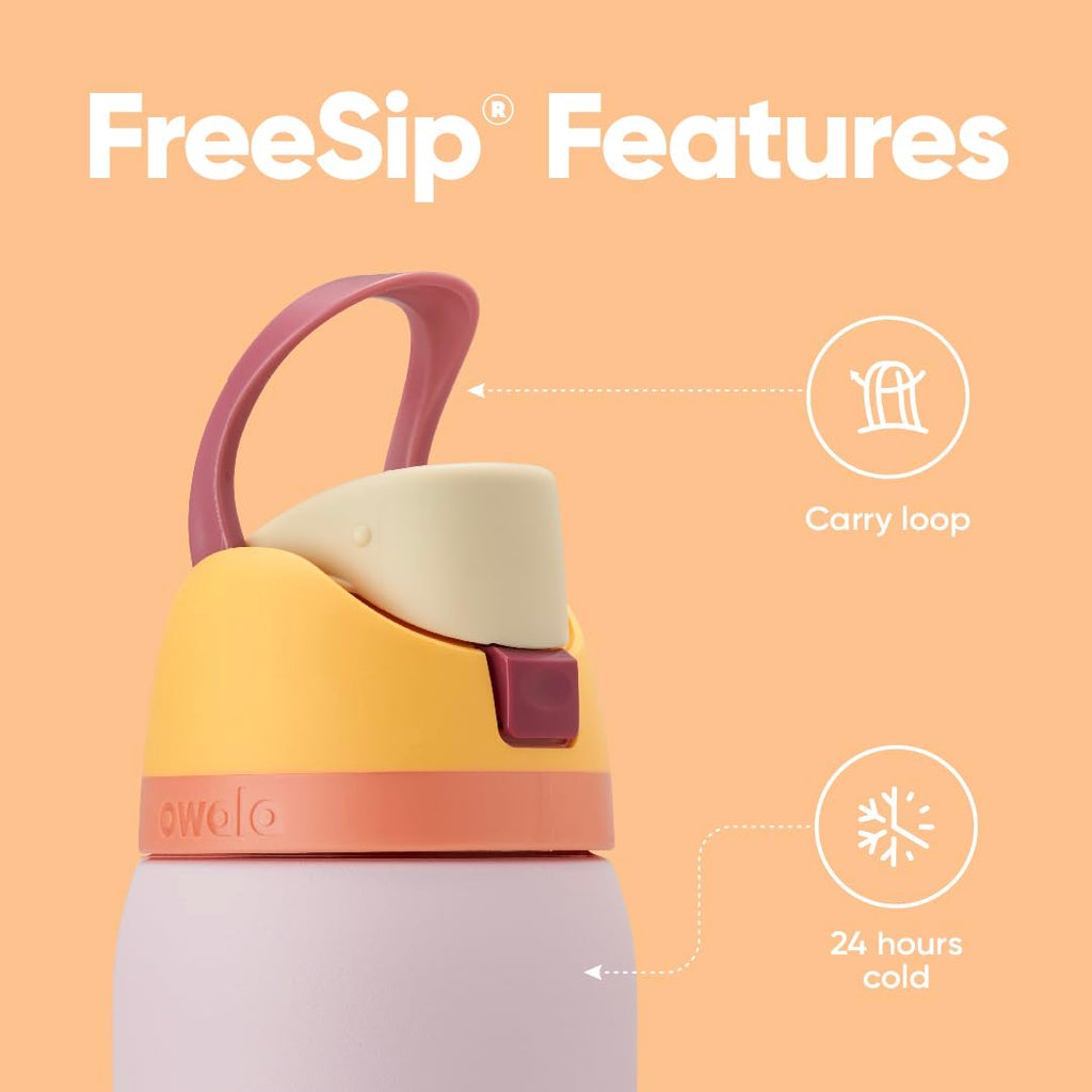Owala FreeSip Stainless Steel Water Bottle 24 oz Candy Store (C06160)