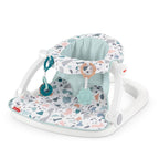 Fisher-Price Sit-Me-Up Floor Seat, Pacific Pebble