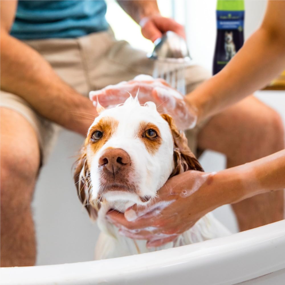 FURminator Ultra Premium deShedding Conditioner for Dogs, 16 oz (additional view 6)