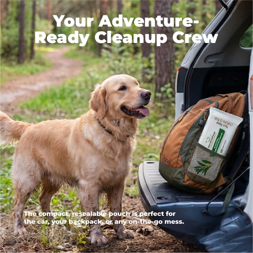Best Pet Supplies Cleaning Dog Wipes
