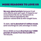 I and love and you Wet Cat Food - Beef Right Meow Pâté - Beef Recipe, Grain Free, Filler Free, 3oz Pack of 24 Cans