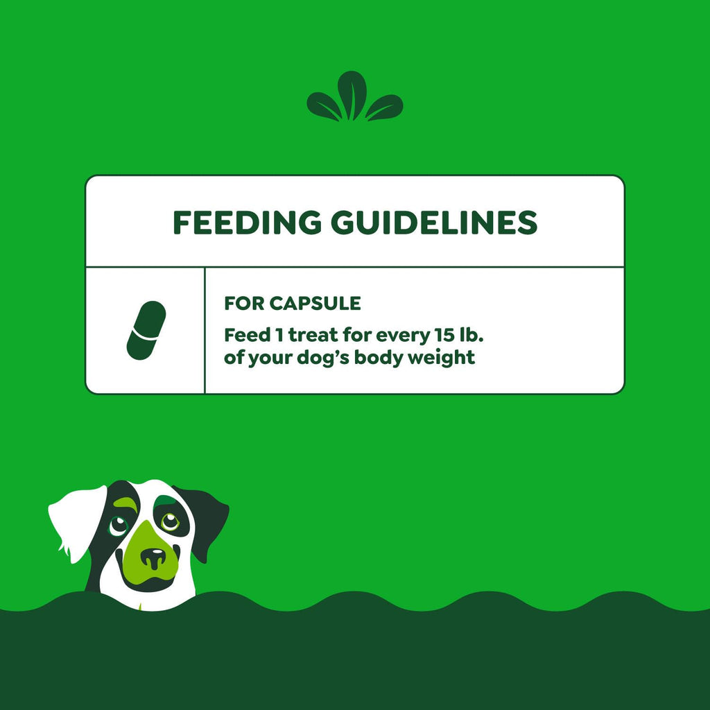Greenies Pill Pockets Large Size Dog Treats, Hickory Smoke, 7.9 oz, 6-Pack (FBA_10100653)