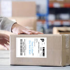 9527 Product 4x6 Blank Direct Thermal Shipping Labels for Zebra 2844 Zp-450 Zp-500 Zp-505,250 Labels/Roll,Total 100 (Pack of 100)