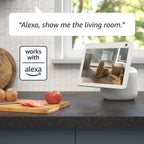 Blink Mini Pan-Tilt Mount