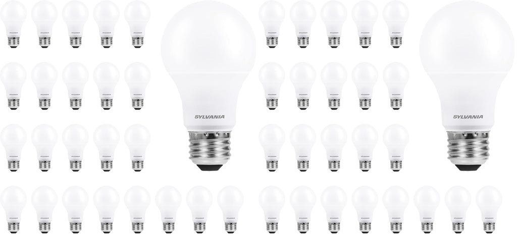 LEDVANCE Sylvania ECO LED A19 Light Bulb