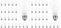 LEDVANCE Sylvania ECO LED A19 Light Bulb