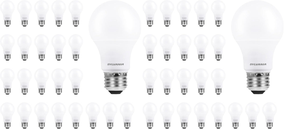 LEDVANCE Sylvania ECO LED A19 Light Bulb