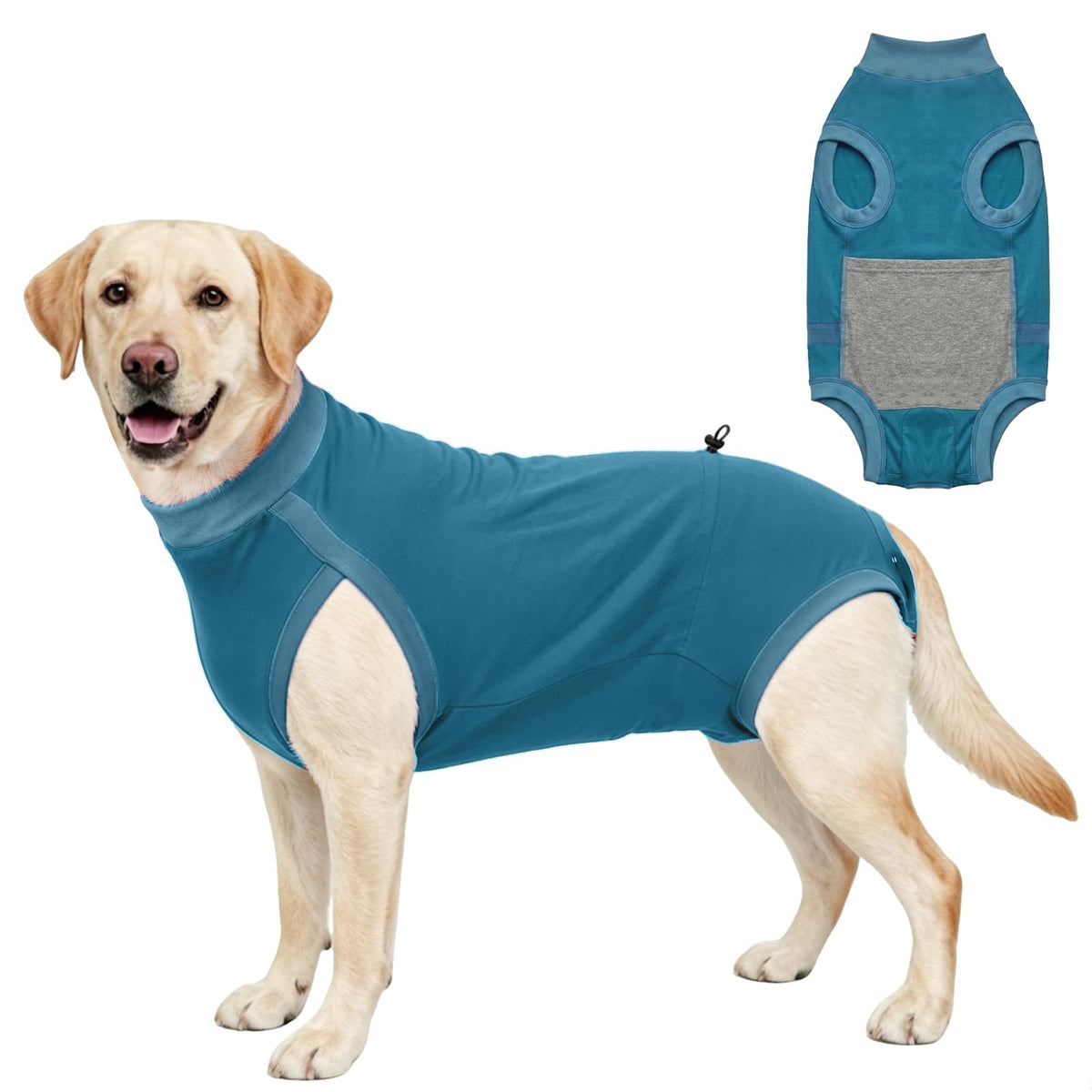 Recovery Suit with Drawstring for Female Dogs Spay - Turquoise / XX-Small