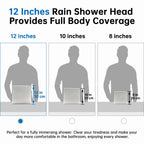 G-Promise Inch All Metal Rain Shower Head with Handheld