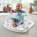 Fisher-Price Sit-Me-Up Floor Seat, Pacific Pebble (additional view 1)