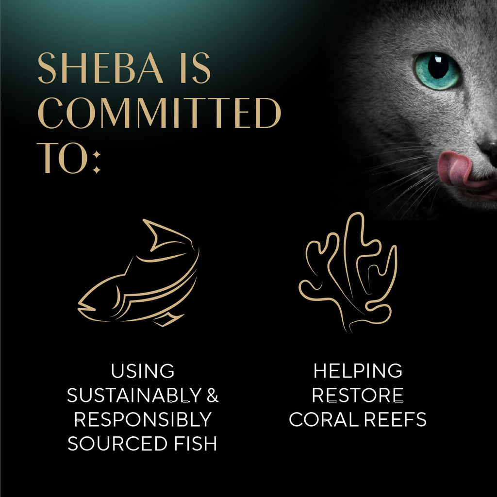 Sheba Selections Filets Wet Cat Food Complement, Variety, 1.3 oz, 8 ct, 2pk (Pack of 2)