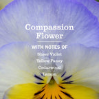 MRS. MEYER'S CLEAN DAY Laundry Scent Boosters, Compassion Flower, 18 fl oz (additional view 2)