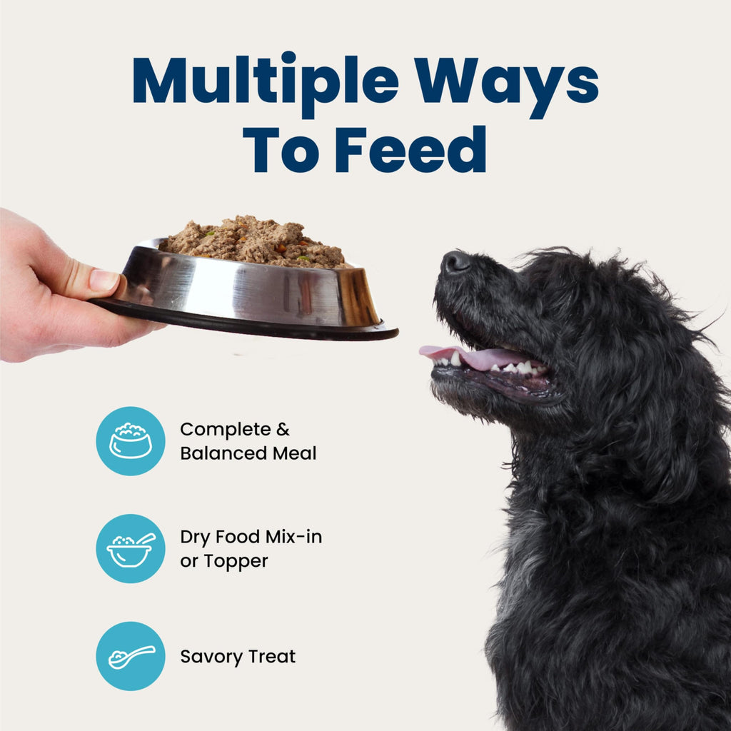 Blue Buffalo Homestyle Recipe Senior Wet Dog Food