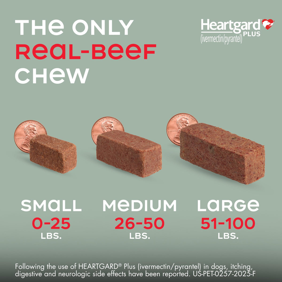 HEARTGARD Plus (ivermectin/pyrantel) Real-Beef Chewables for Dogs 51 -100 lbs (Brown Box) 12 Month Supply of Chews (Pack of 12)