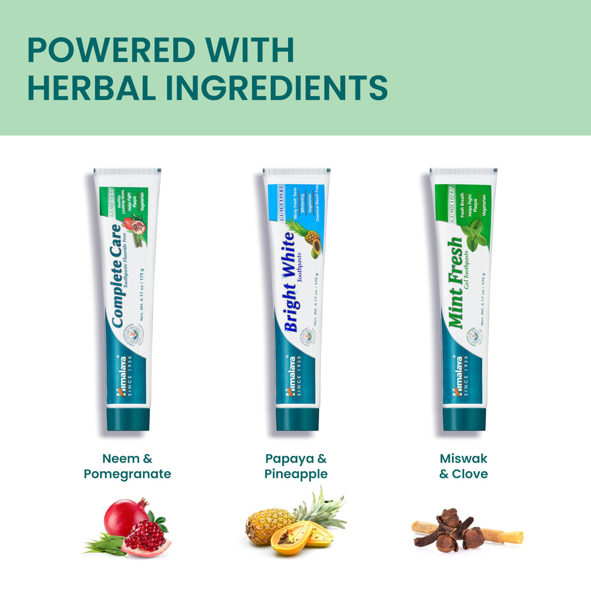 Himalaya Oral Care Fluoride Free Toothpaste, 6.17 oz Each, Variety 3 Pack (additional view 4)