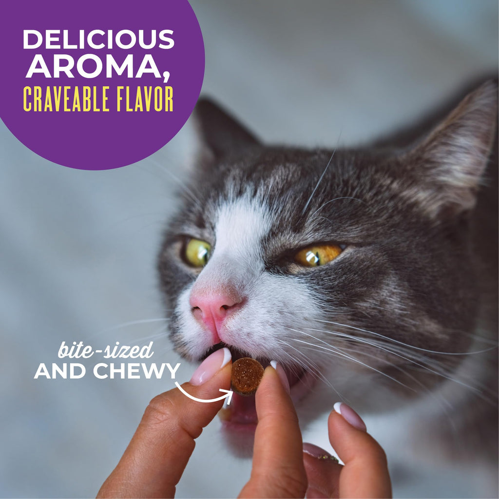 Tiki Cat Soft & Chewy Dry Cat Treats, Chicken Flavor, 6 oz Pouch (additional view 5)