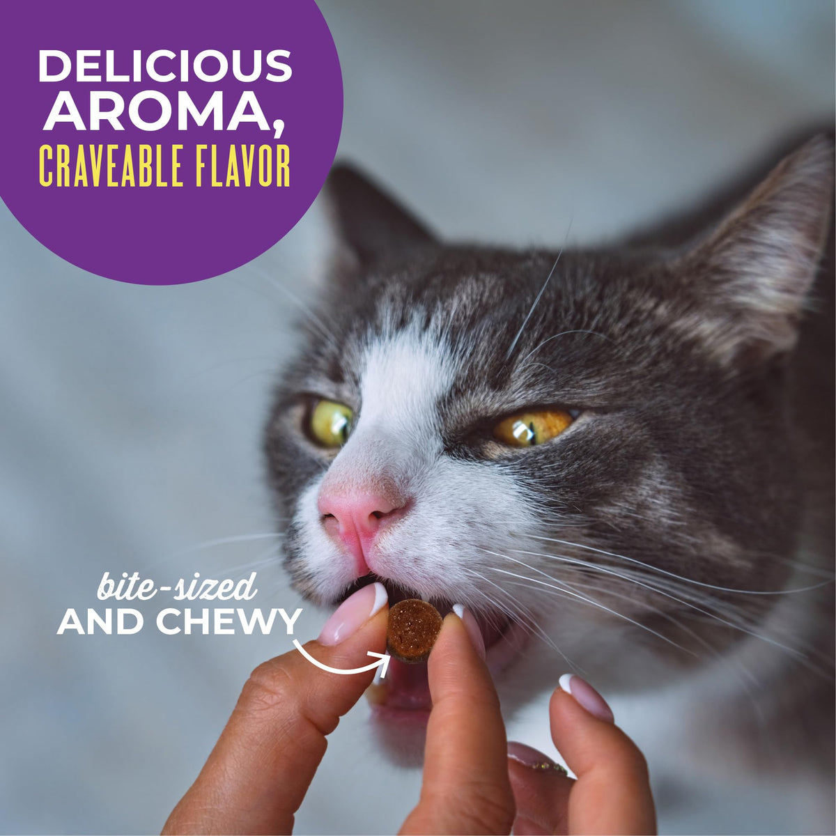 Tiki Cat Soft & Chewy Dry Cat Treats, Chicken Flavor, 6 oz Pouch (additional view 5)