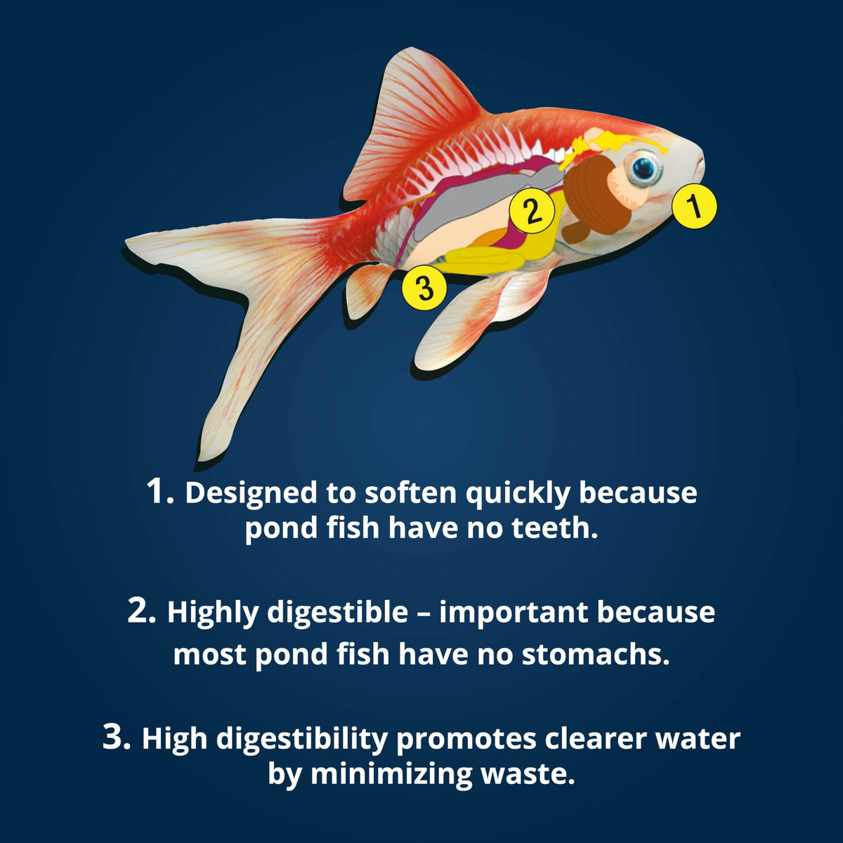 TetraPond Spring & Fall Diet Floating Pond Sticks, 1.72-Pound (additional view 6)