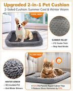 Morpilot Pet Travel Cat Carrier