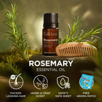 Gya Labs Rosemary Essential Oil for Skin, Hair & Diffuser - 0.34 Fl Oz (EOS-RMA-010M)