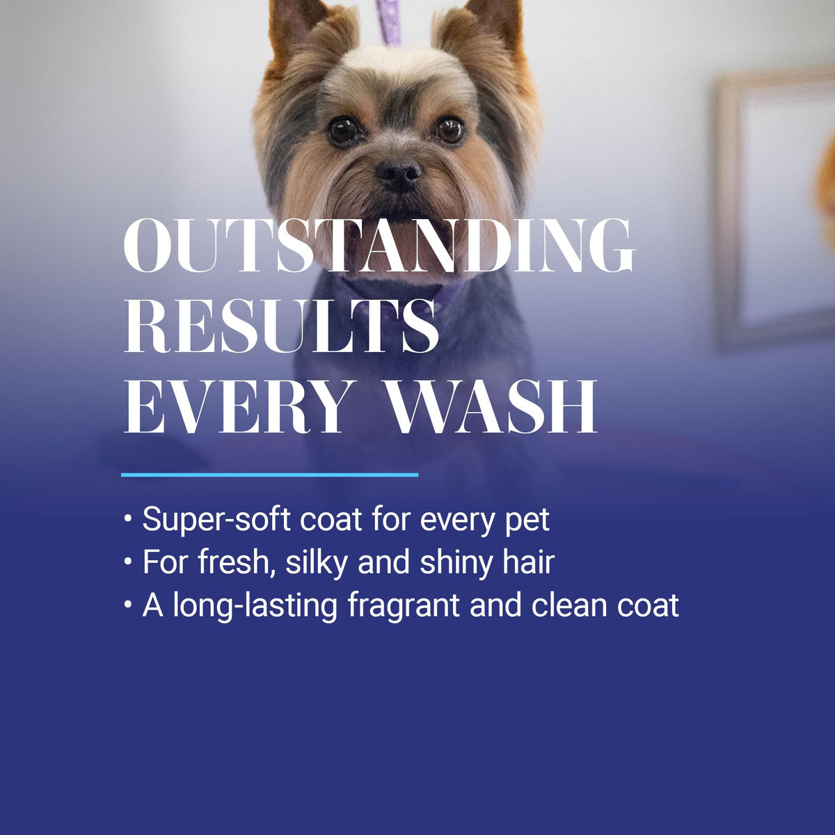 Chris Christensen SmartWash50 Ultra Concentrated Dog Shampoo - view 6