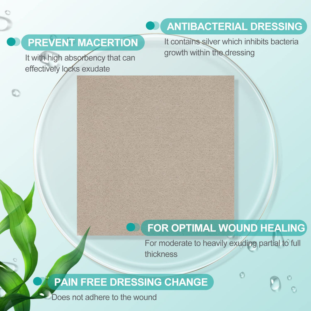 Dimora Alginate Wound Dressing -Silver-Infused Alginate