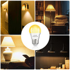 LOXYEE A15 LED Light Bulb 2 Pack, Dimmable 5W 2700K Table Lamp Bulb (BXD-001)