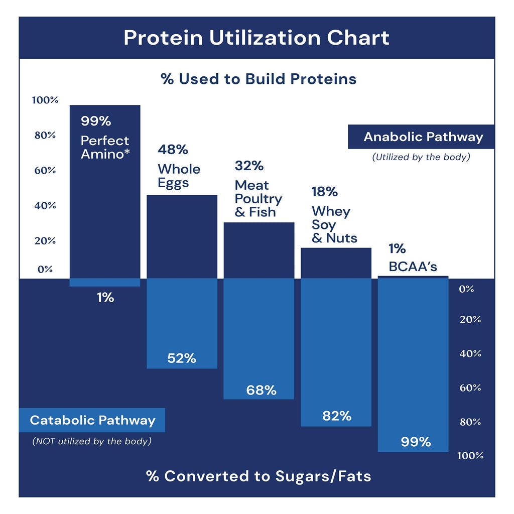 BodyHealth PerfectAmino Powder - BCAA and EAA Powder for Pre and Post Workout - Amino (additional view 2)