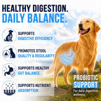 Vet Promise Probiotics for Dogs - Dog Probiotics with Digestive Enzymes, Soft Chews (PRBVP-70)