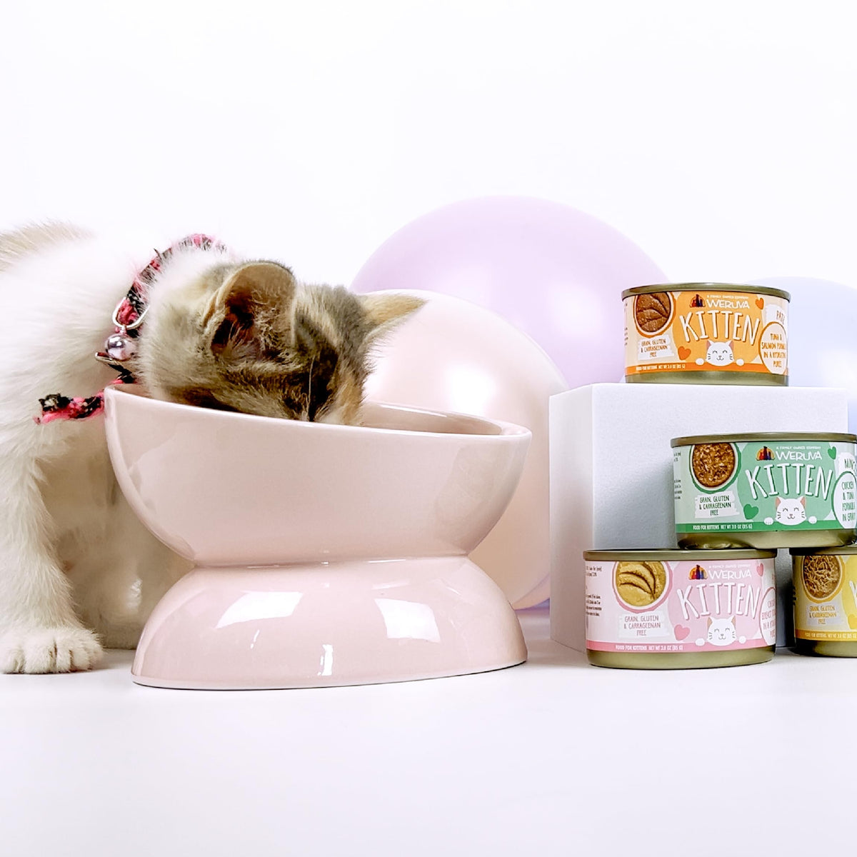 Weruva B.F.F. Kitten Wet Food