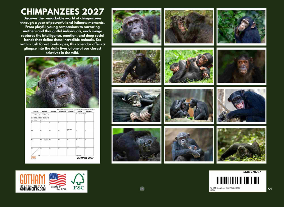 Chimpanzee Calendar 2027 Monthly Wall Calender 12 Month (additional view 1)