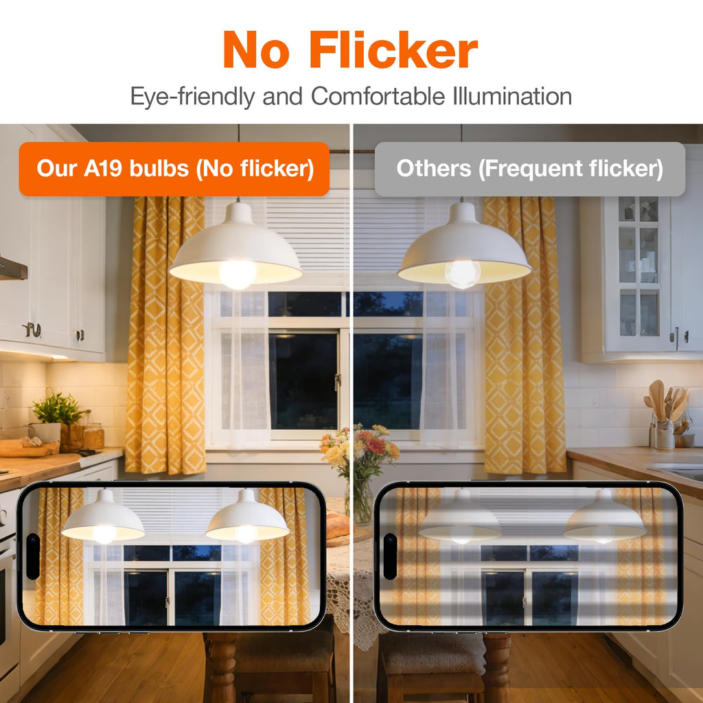LEDVANCE Sylvania ECO LED A19 Light Bulb