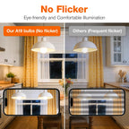 LEDVANCE Sylvania ECO LED A19 Light Bulb