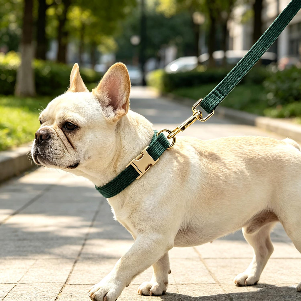 YUDOTE Corduroy Dog Collar and Leash Set - view 24