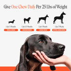 Pet Honesty Vet Recommended Hip and Joint Supplement for Dogs, – 90 Count (DEXB-JS-1219-335) (Pack of 90)