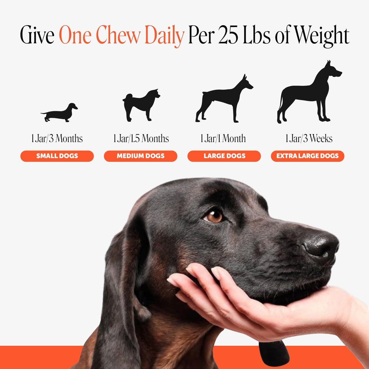Pet Honesty Vet Recommended Hip and Joint Supplement for Dogs, – 90 Count (DEXB-JS-1219-335) (Pack of 90)