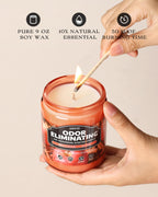 AOOVOO Odor Eliminating Candle