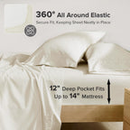 Comfort Spaces 100% Cotton Percale Sheets Twin Sheet Set 3 Pcs, Ivory (AM20-0601)