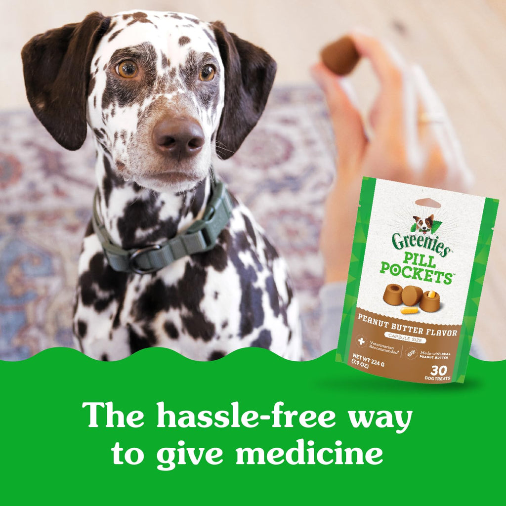 Greenies Pill Pockets Large Size Dog Treats, Peanut Butter, 7.9 oz, 6-Pack (additional view 4)