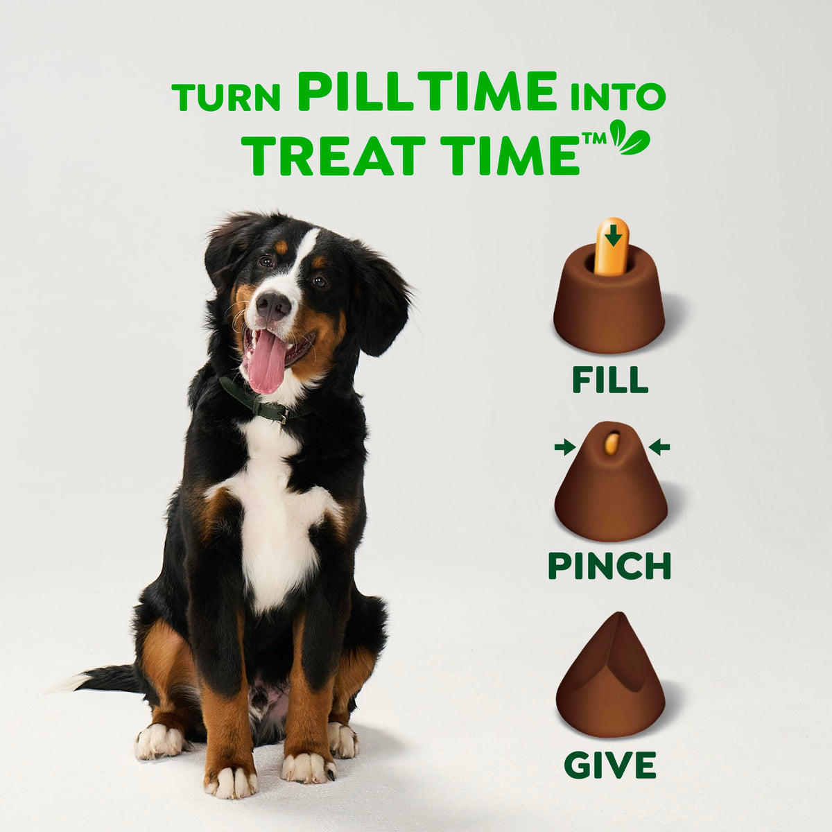 Greenies Pill Pockets Large Size Dog Treats