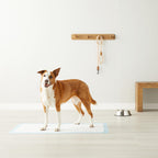Amazon Basics Leak-Proof Dog and Puppy Potty Training Pee Pads with Quick-Dry 5-Layer Surface, Standard Absorbency