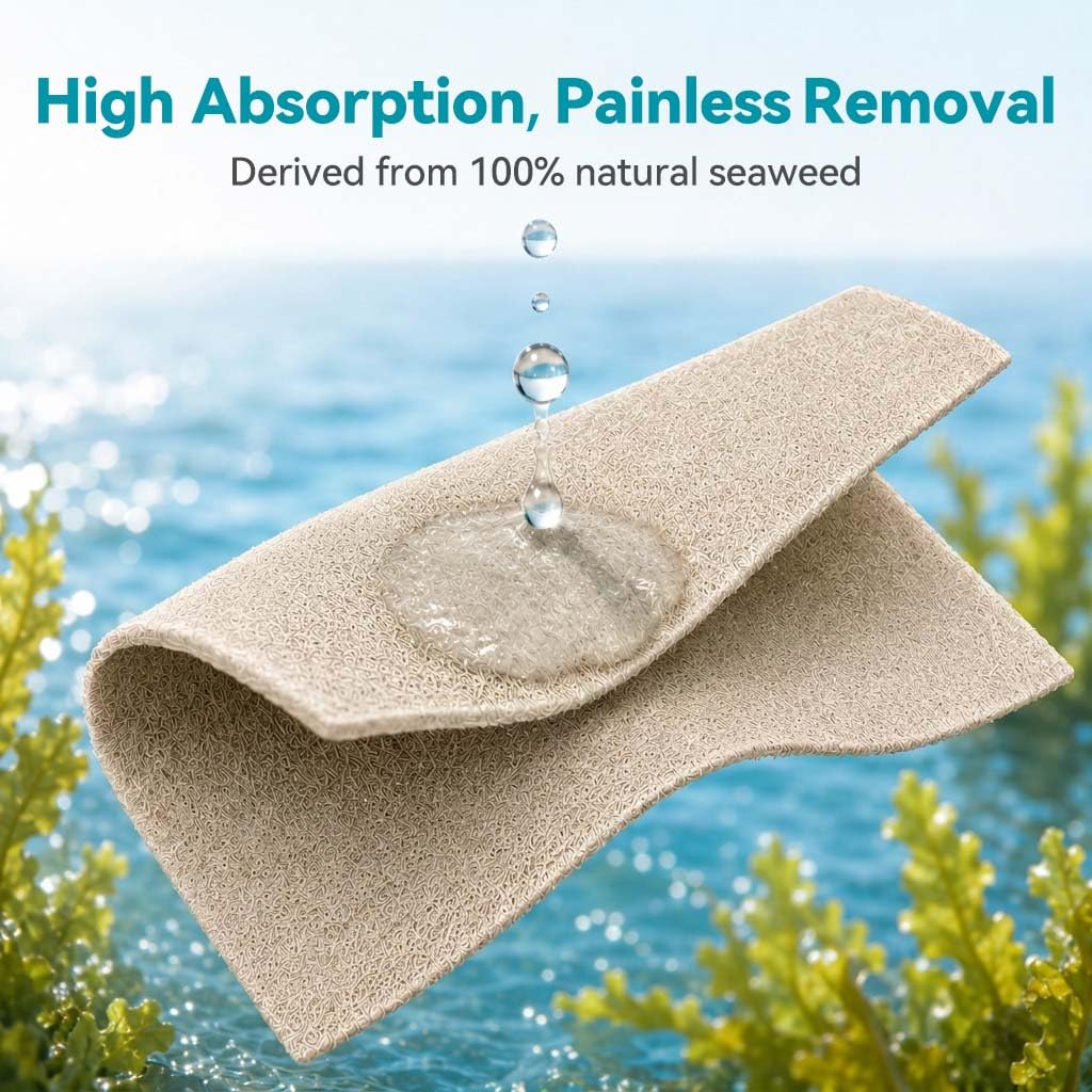 Dimora Alginate Wound Dressing -Silver-Infused Alginate