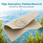 Dimora Alginate Wound Dressing -Silver-Infused Alginate