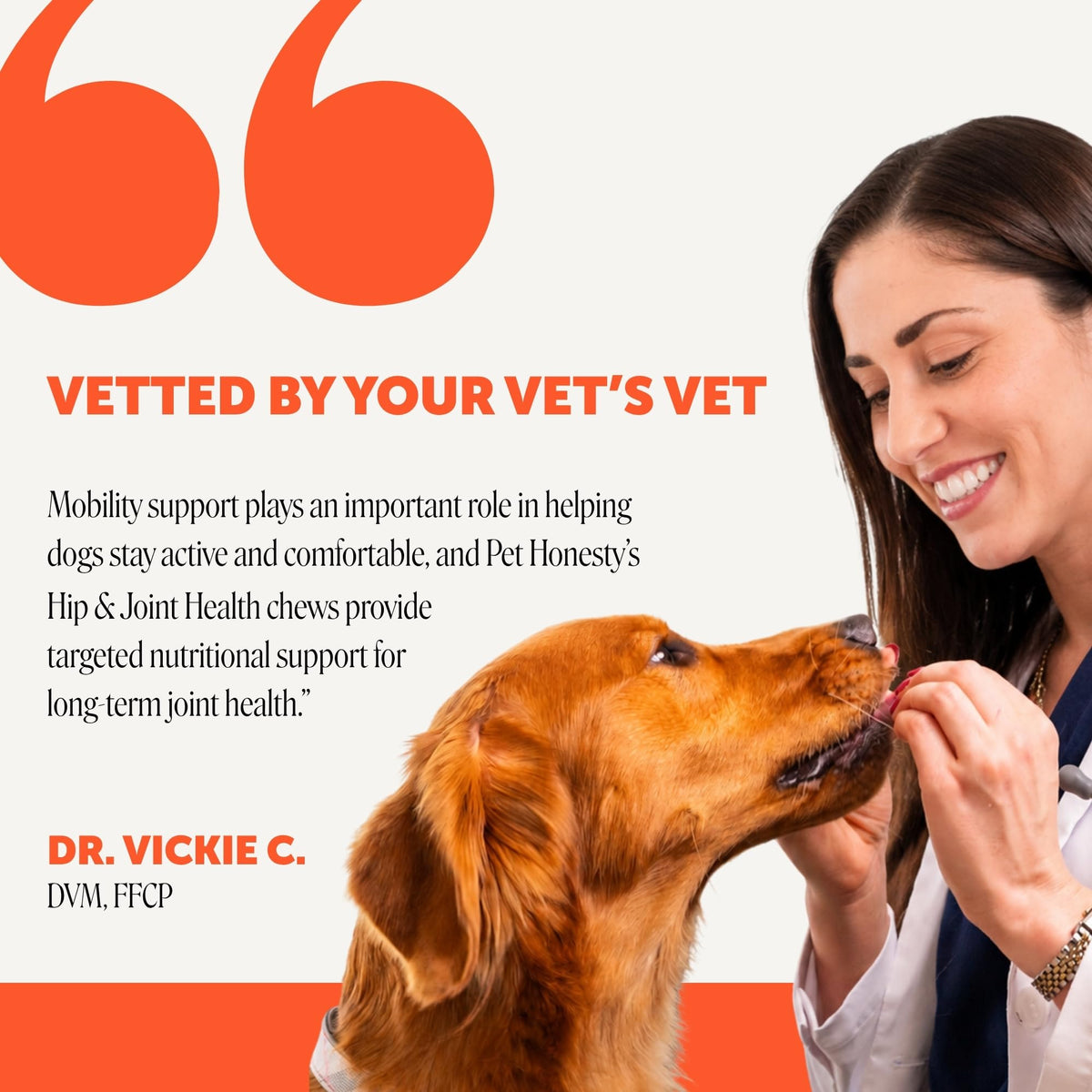 Pet Honesty Vet Recommended Hip and Joint Supplement for Dogs, – 90 Count (DEXB-JS-1219-335) (Pack of 90)