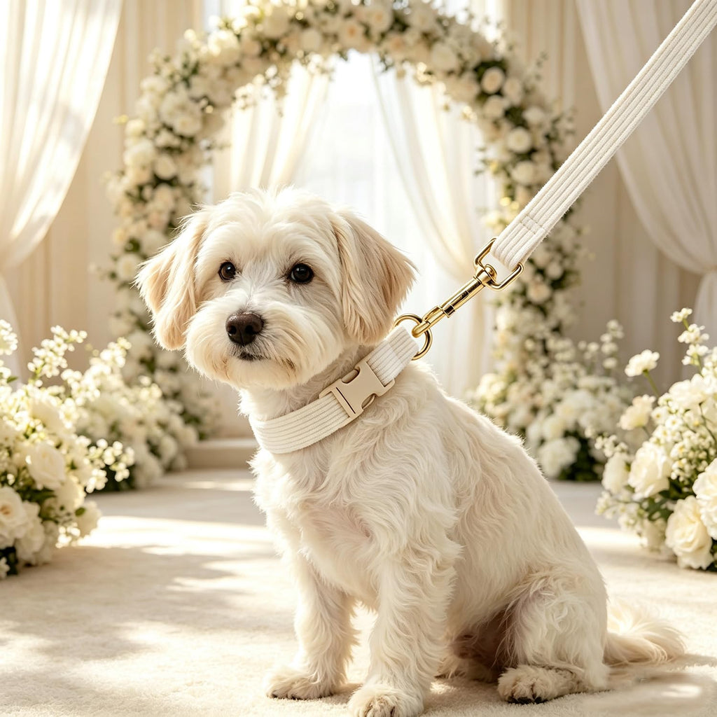 YUDOTE Corduroy Dog Collar and Leash Set - view 16