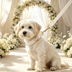 YUDOTE Corduroy Dog Collar and Leash Set - view 16
