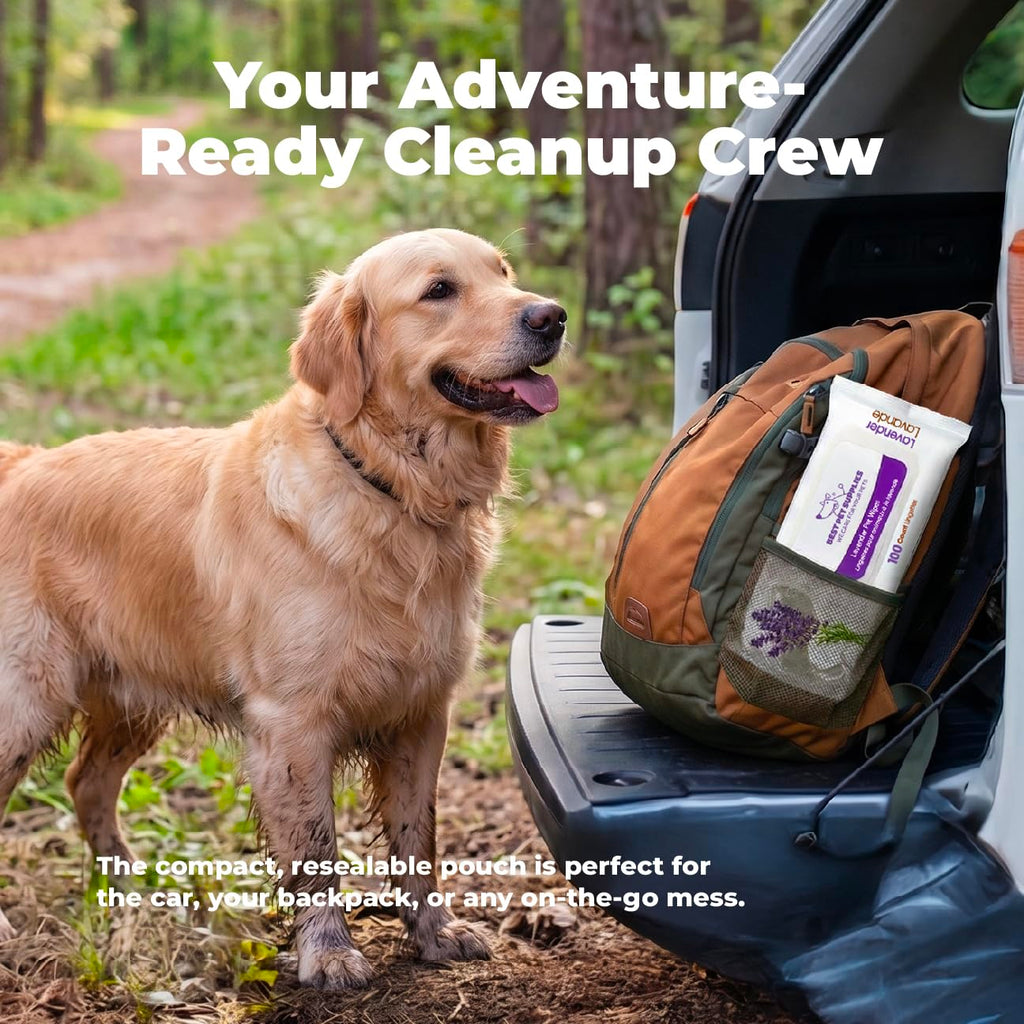 Best Pet Supplies Cleaning Dog Wipes