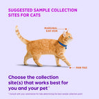 AlphaTrak3 Test Strips for Diabetic Dogs, Cats & Horses, 50 Count (additional view 6)