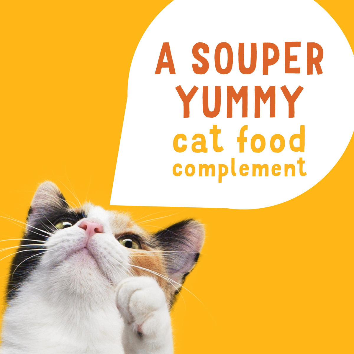 Purina Friskies Lil Soups Topper Variety Pack, 30 Count, 1.2 oz Cups (Pack of 30)