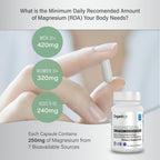 Organixx Magnesium 7 Complex, Sleep & Muscle Support